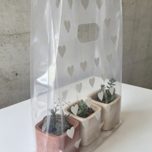 Bolsa riñón estampada corazones con fuelle